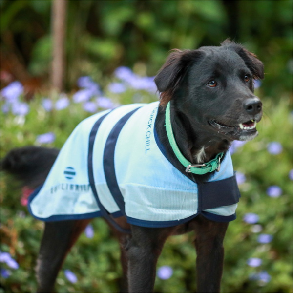 2025 Equilibrium Quick Chill Dog Coat 312 - Blue